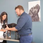 Green Hill Animal Hospital