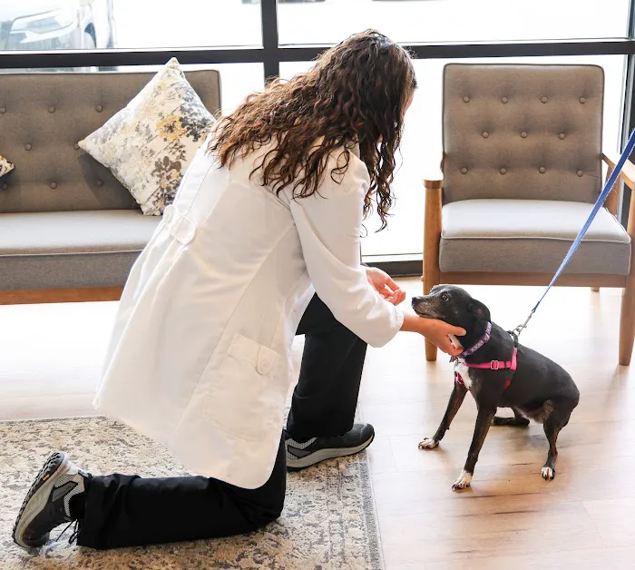 Green Hill Animal Hospital Picture 5