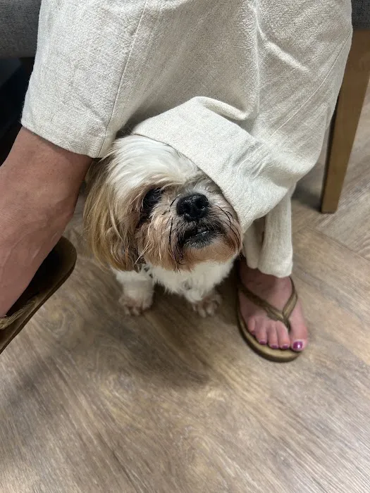 Green Hill Animal Hospital Picture 10