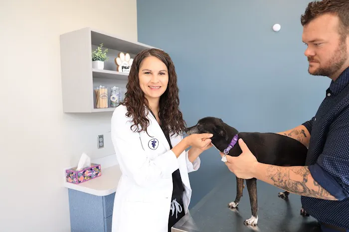 Green Hill Animal Hospital Picture 9