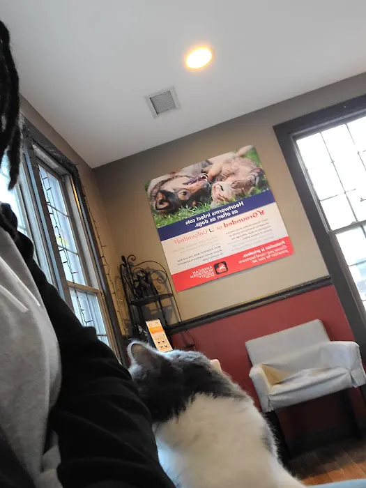 Nashville Cat Clinic Picture 4