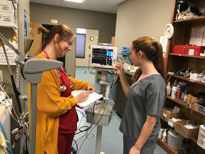 Priest Lake Veterinary Hospital - Nashville Veterinarian Picture 5