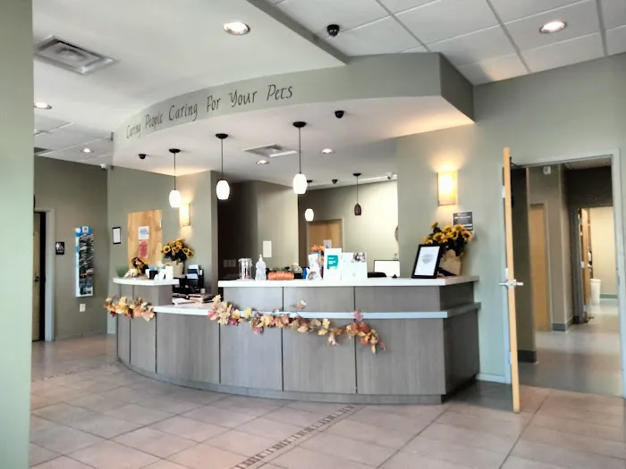 Priest Lake Veterinary Hospital - Nashville Veterinarian Picture 2