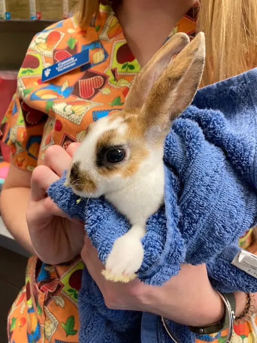 Priest Lake Veterinary Hospital - Nashville Veterinarian Picture 4
