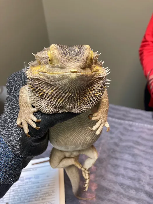 Priest Lake Veterinary Hospital - Nashville Veterinarian Picture 6