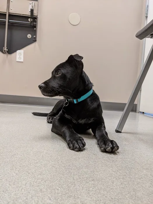 Baseline Animal Clinic Picture 2