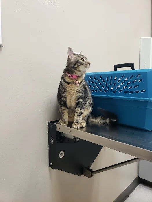 Baseline Animal Clinic Picture 4