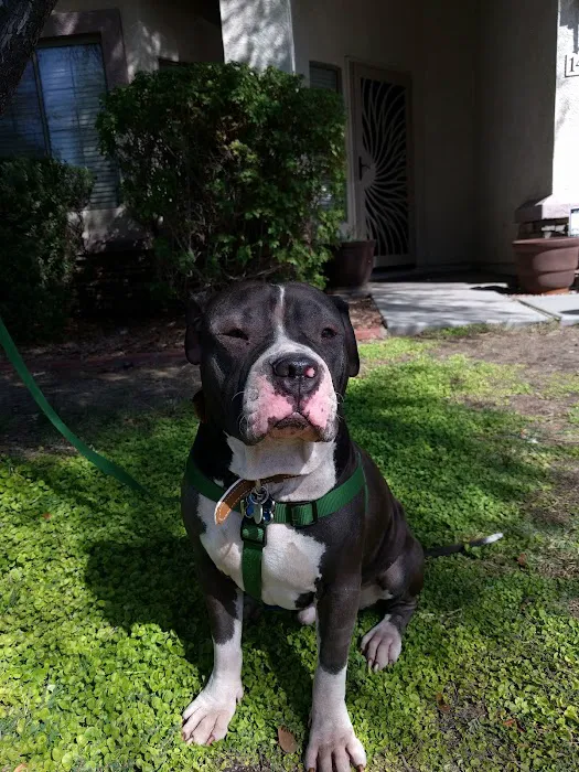 Baseline Animal Clinic Picture 9