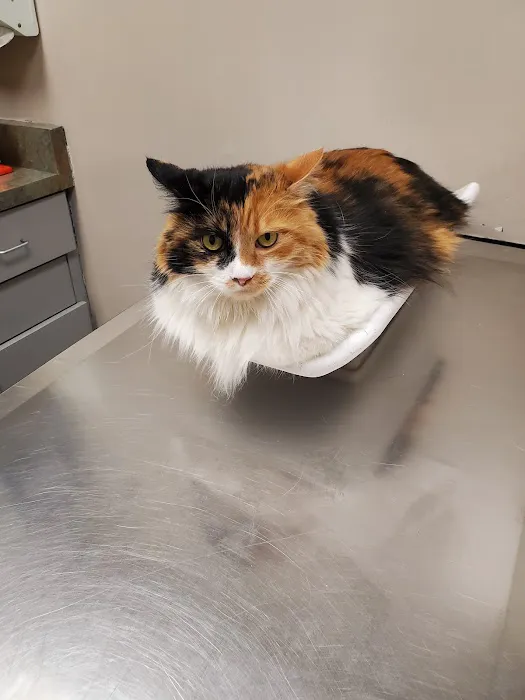 Baseline Animal Clinic Picture 7