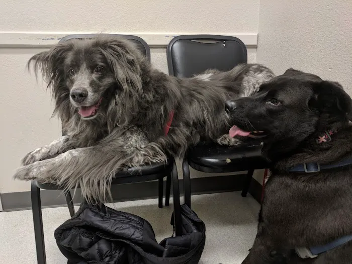 Baseline Animal Clinic Picture 8