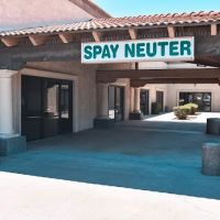 Tempe Pet Clinic ico