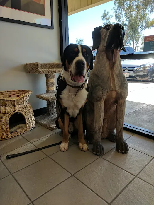 South Point Animal Clinic Picture 2