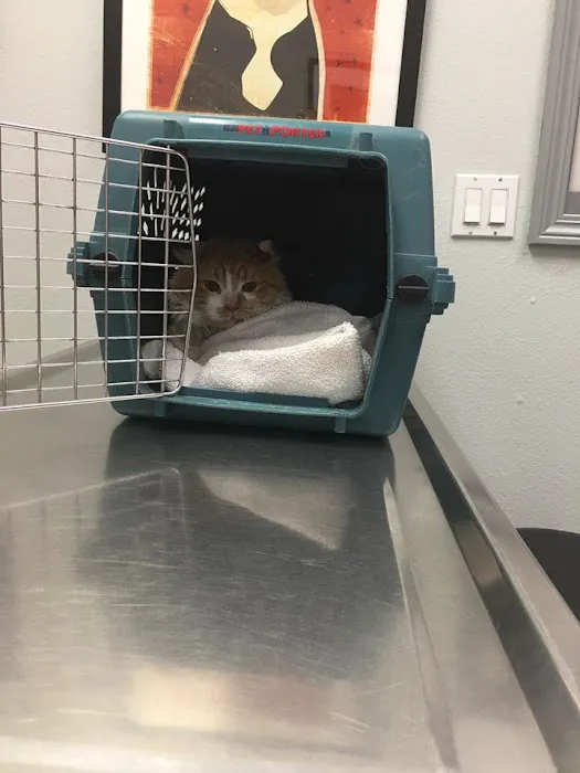 South Point Animal Clinic Picture 9