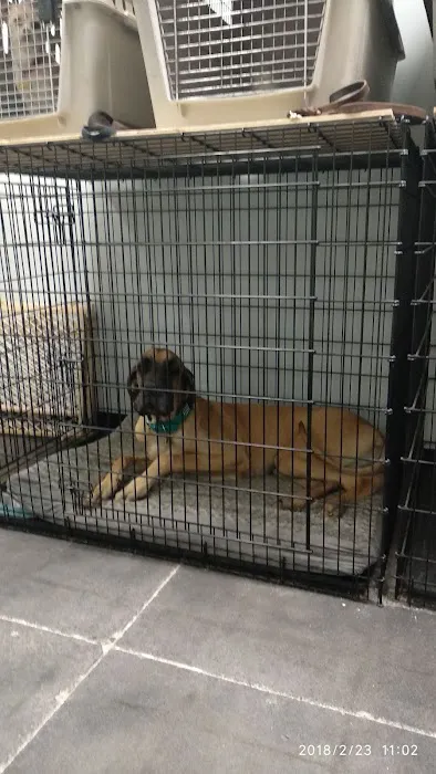 South Point Animal Clinic Picture 5