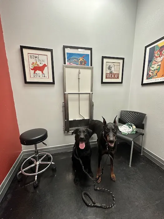 South Point Animal Clinic Picture 10