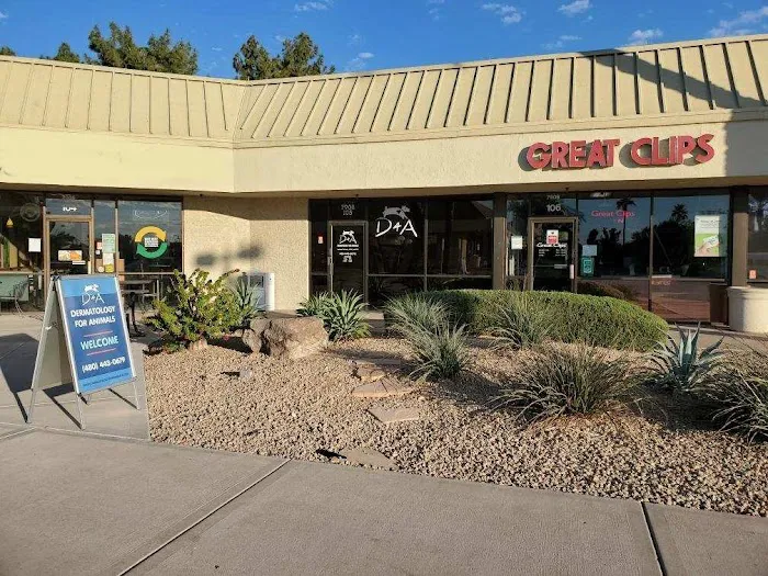 Dermatology for Animals - Scottsdale Picture 3