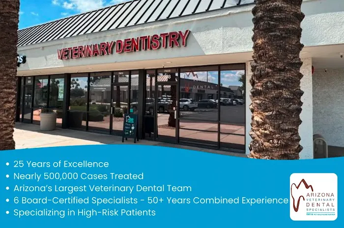 Arizona Veterinary Dental Specialists - Scottsdale Picture 1