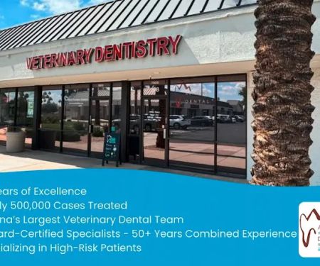 Arizona Veterinary Dental Specialists - Scottsdale