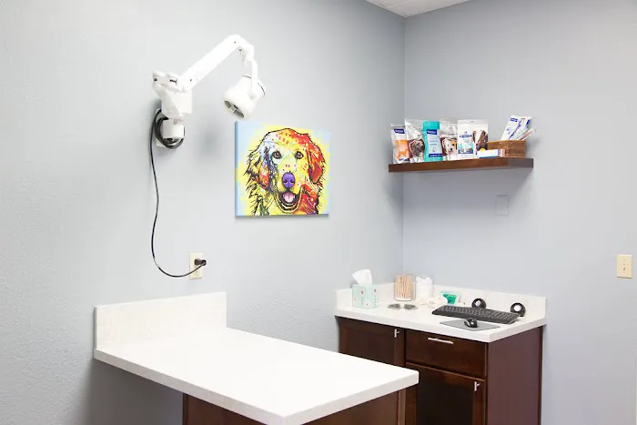 Arizona Veterinary Dental Specialists - Scottsdale Picture 2
