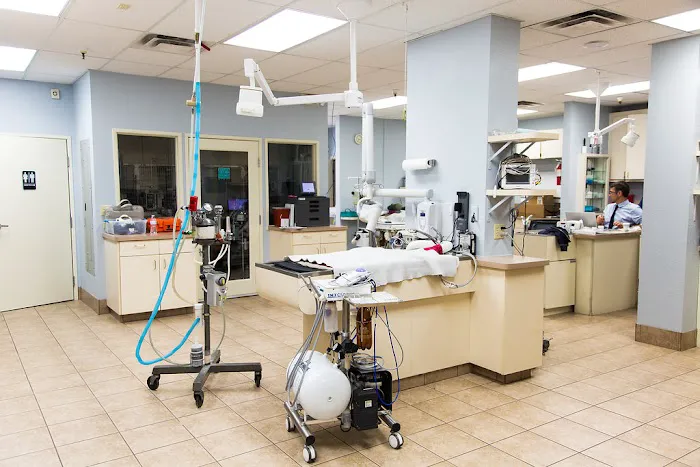 Arizona Veterinary Dental Specialists - Scottsdale Picture 3