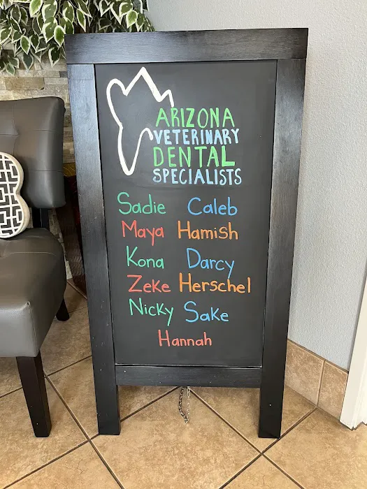 Arizona Veterinary Dental Specialists - Scottsdale Picture 6