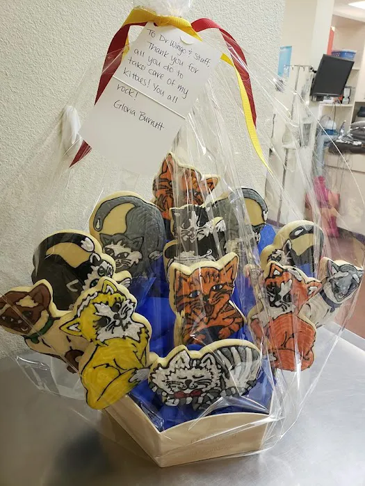 Arizona Veterinary Dental Specialists - Scottsdale Picture 7