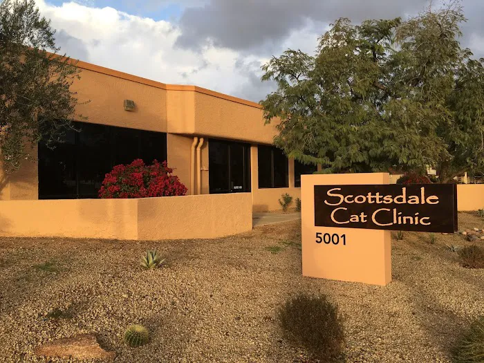 Scottsdale Cat Clinic Picture 4
