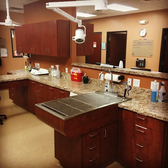 Scottsdale Cat Clinic Picture 9