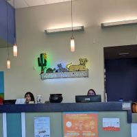Ingleside Animal Hospital: Levine Kristen DVM ico