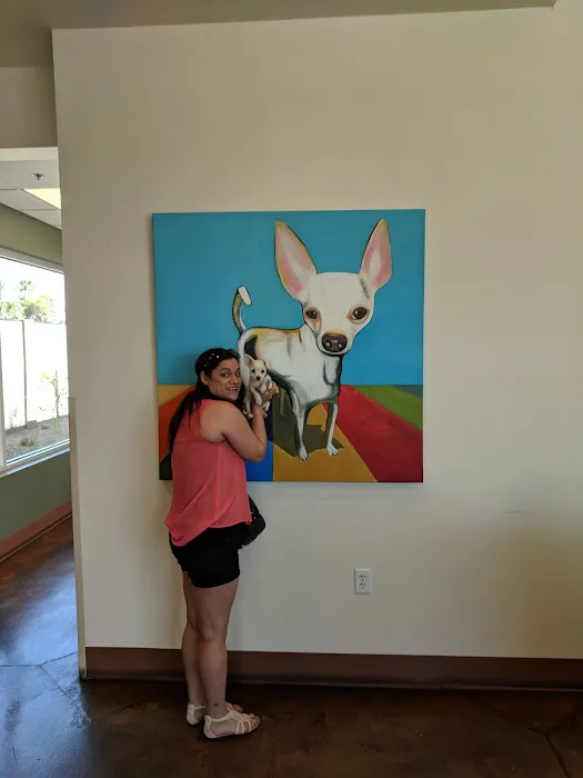 Ingleside Animal Hospital Picture 7
