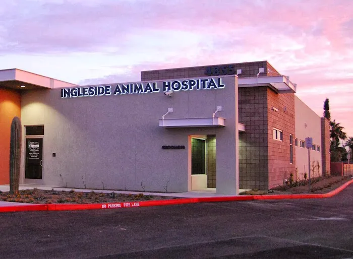 Ingleside Animal Hospital Picture 5