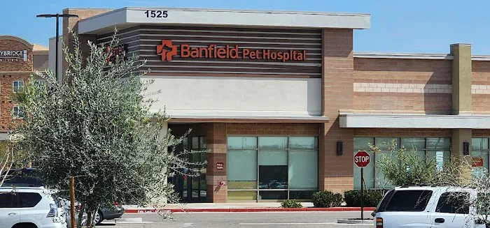Banfield Pet Hospital Picture 2