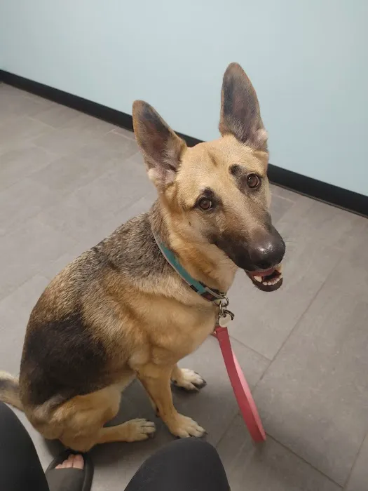Banfield Pet Hospital Picture 7