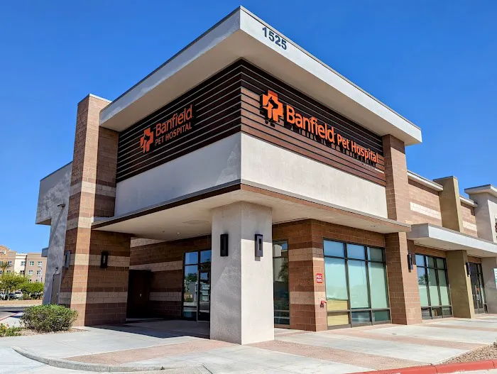 Banfield Pet Hospital Picture 8