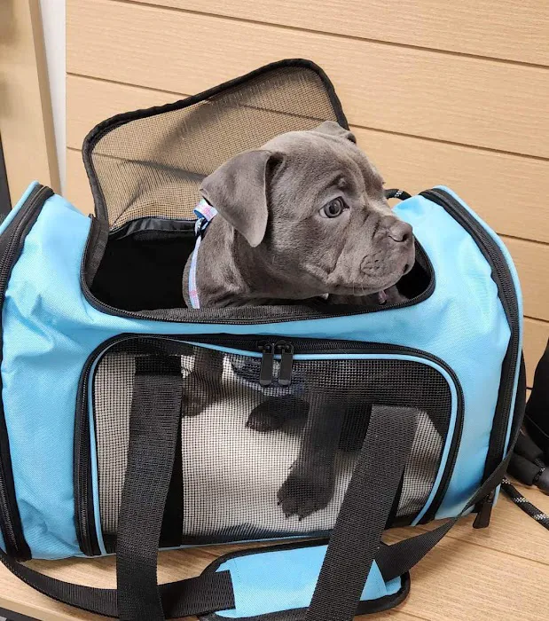 Banfield Pet Hospital Picture 5