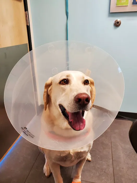 Banfield Pet Hospital Picture 6