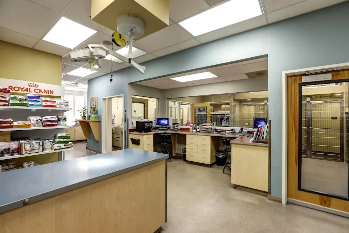 Higley Groves Animal Hospital Picture 3