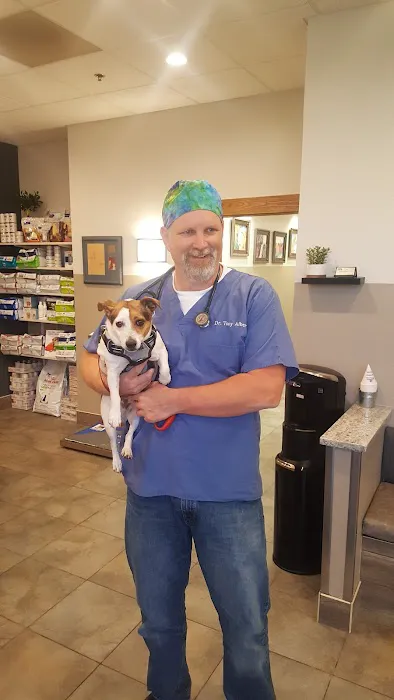 Higley Groves Animal Hospital Picture 6
