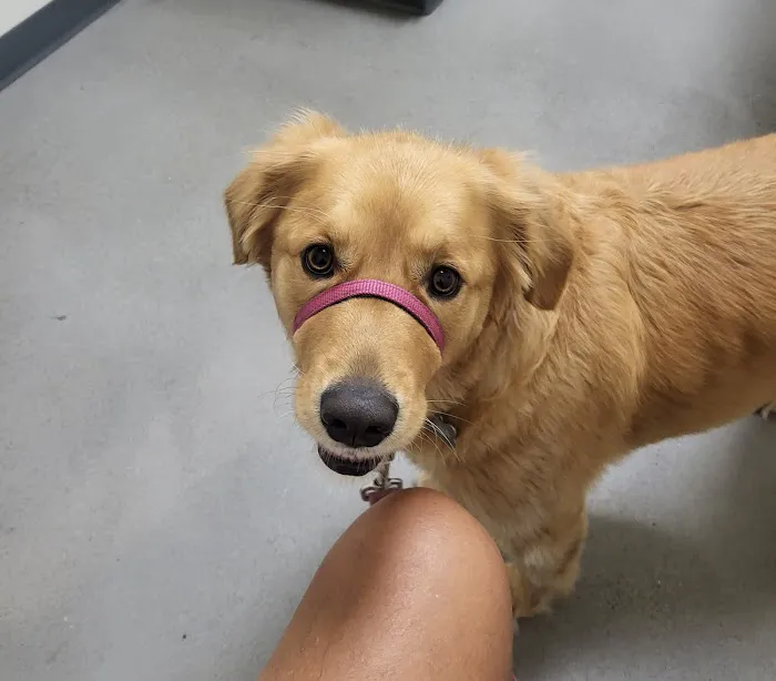 Vetco Total Care Animal Hospital Picture 5