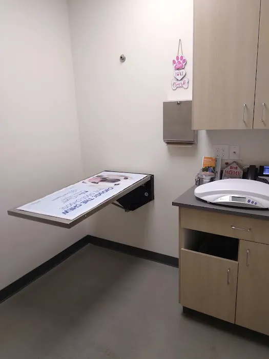 Vetco Total Care Animal Hospital Picture 8