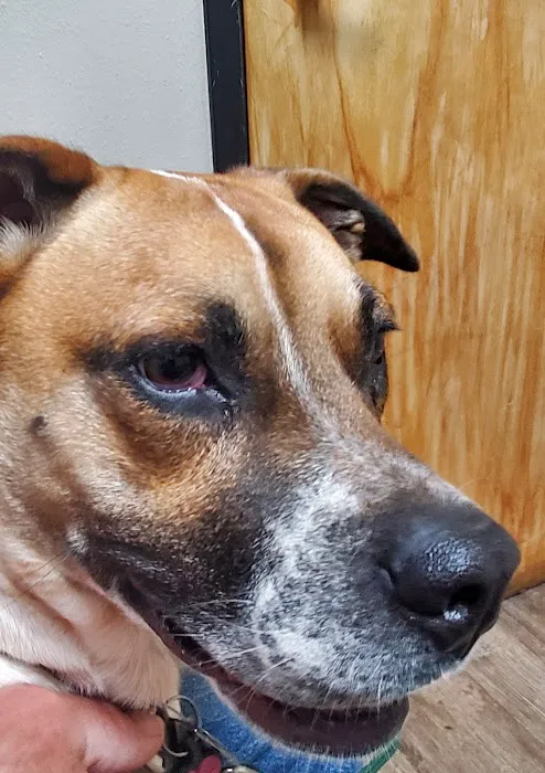 Warner Vista Animal Hospital Picture 2