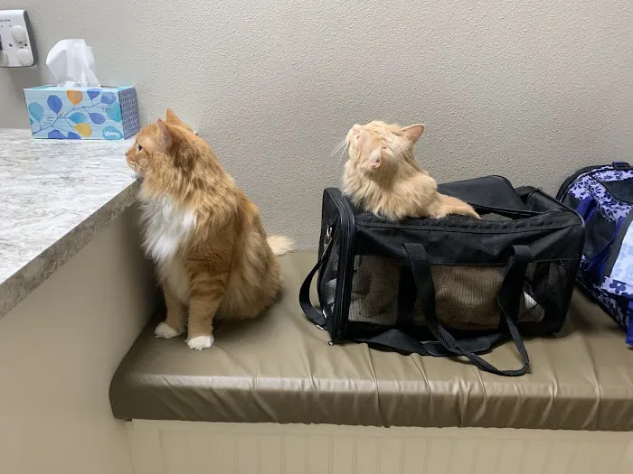Warner Vista Animal Hospital Picture 1