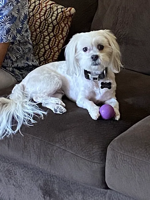 Warner Vista Animal Hospital Picture 4