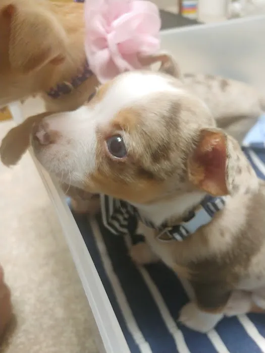 Warner Vista Animal Hospital Picture 8