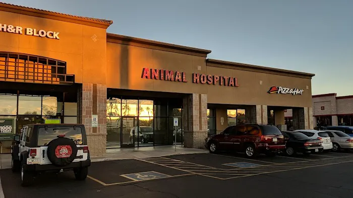 Warner Vista Animal Hospital Picture 9