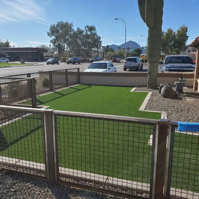 Saguaro Veterinary Clinic Picture 6