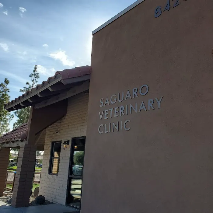 Saguaro Veterinary Clinic Picture 5