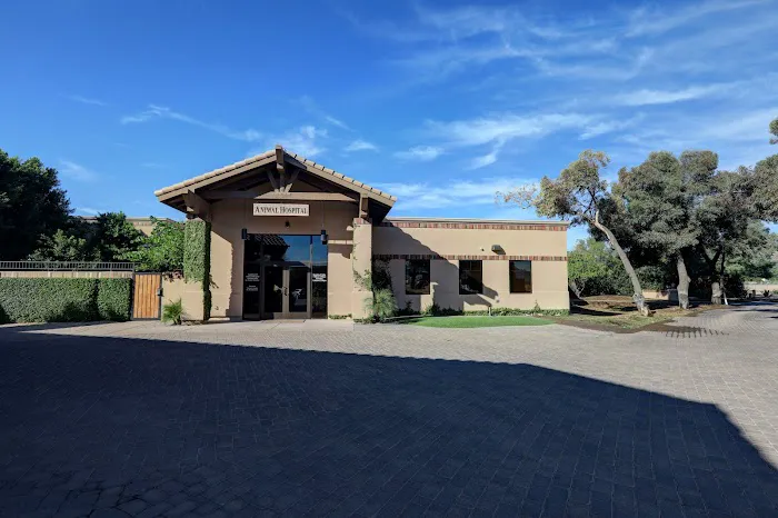 Applewood Animal Hospital Picture 3