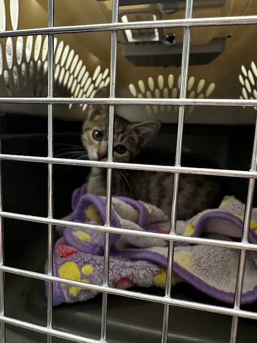 Trusted Paws Veterinary Clinic Picture 10