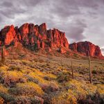 Superstition Animal Hospital